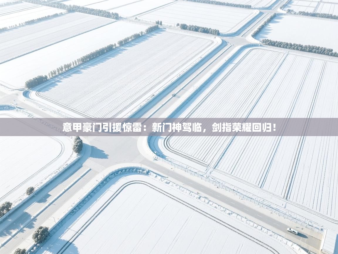 意甲豪门引援惊雷:新门神驾临,剑指荣耀回归! 第2张