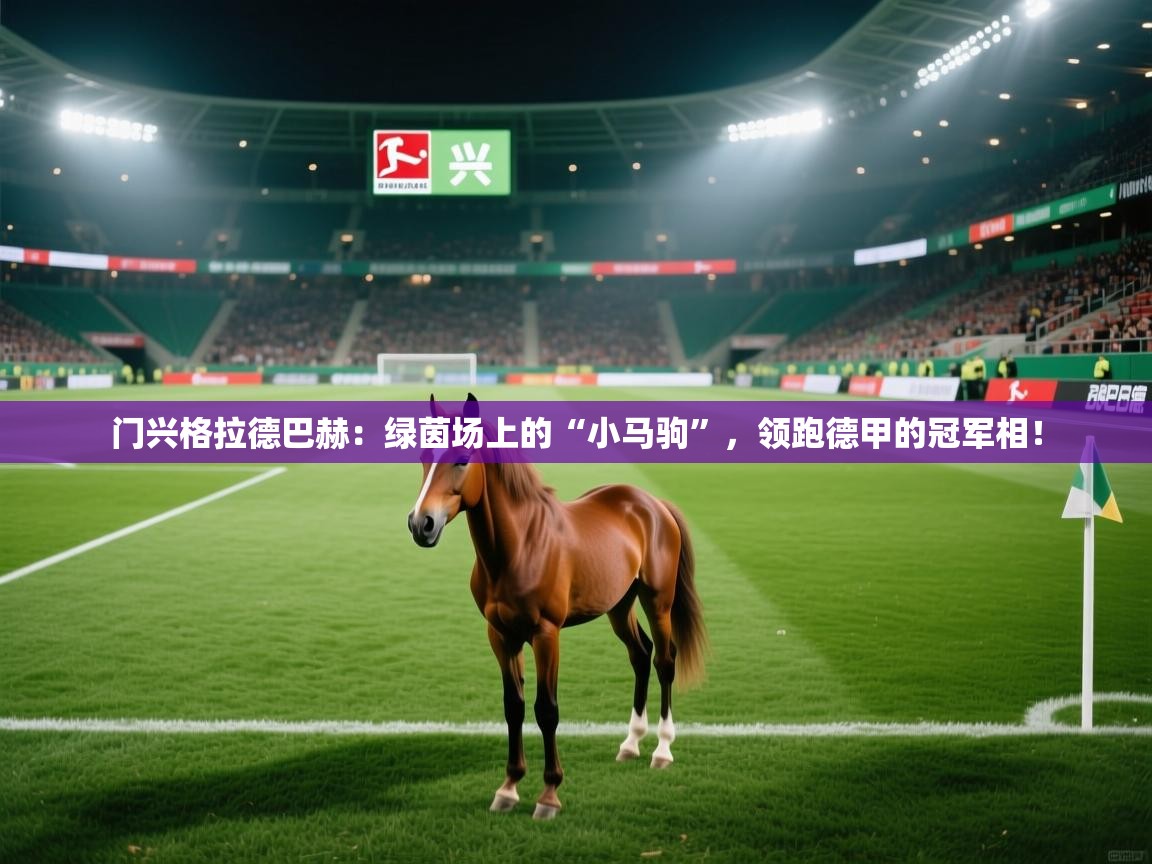 门兴格拉德巴赫:绿茵场上的“小马驹”,领跑德甲的冠军相! 第2张